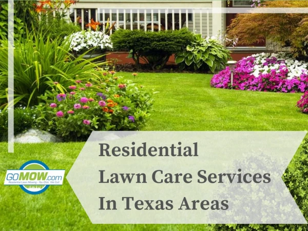 Texas Lawn Care Options for your Lawn and Garden - GoMow