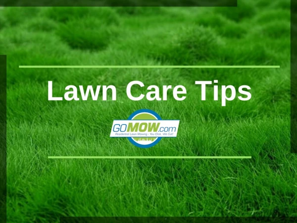 Lawn Care Tips from GoMow