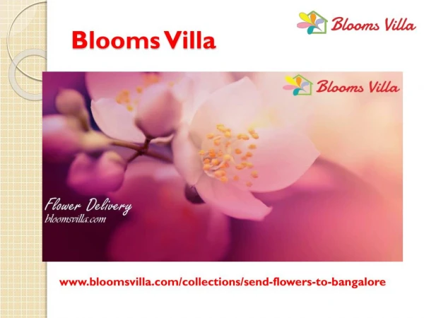 Florist In Bangalore