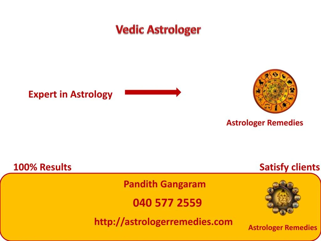 vedic astrologer