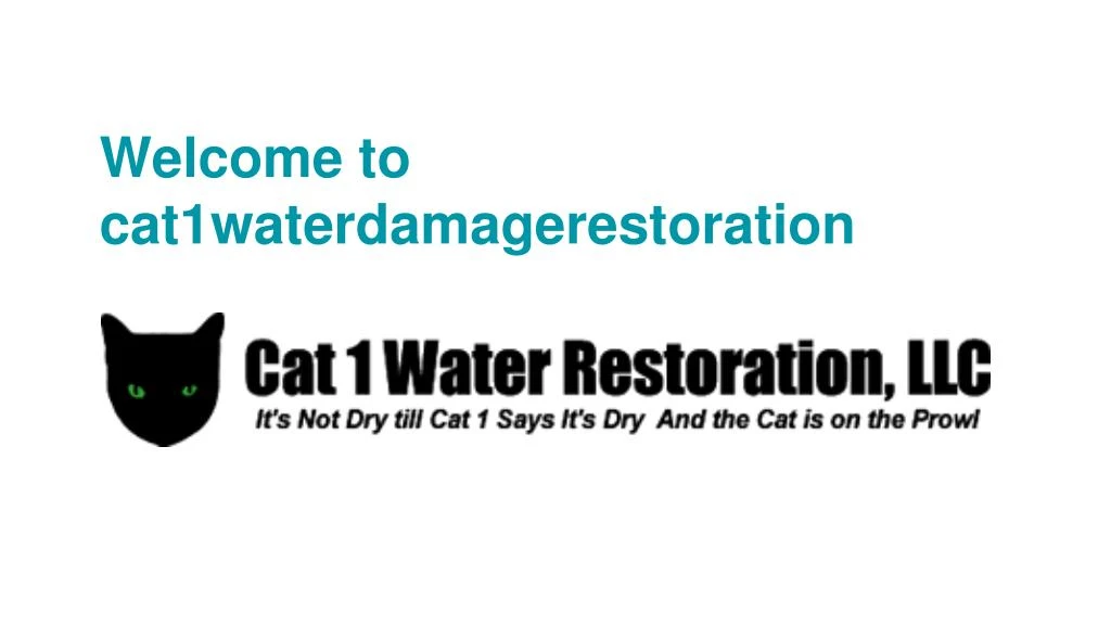 welcome to cat1waterdamagerestoration
