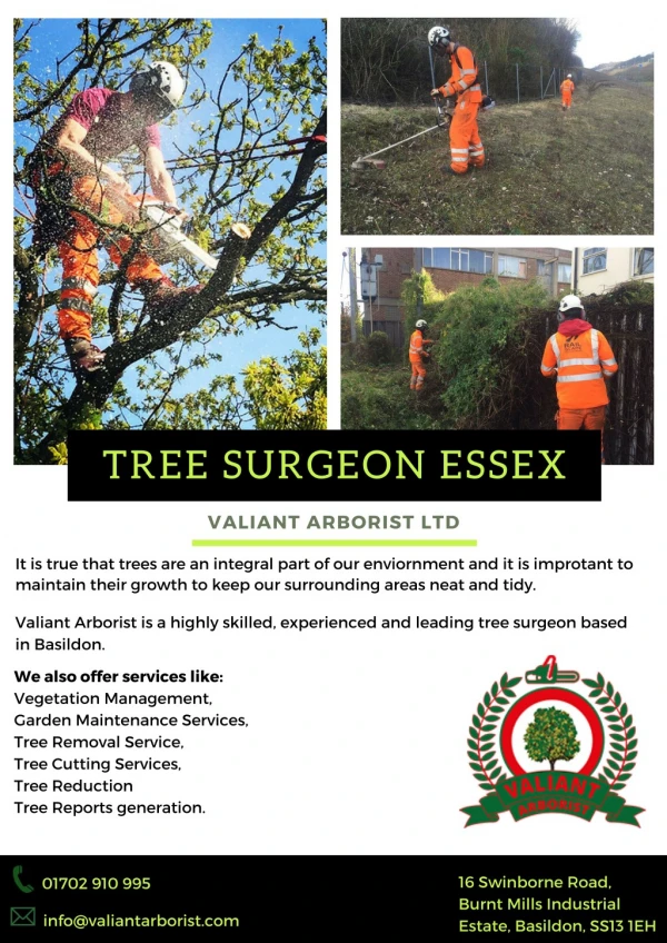Tree Surgeon Essex | Valiant Arborist Ltd