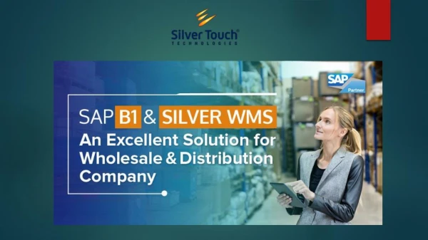 Leverage the power of SAP B1 and Silver WMS to expand profitability in wholesale and distributed industry