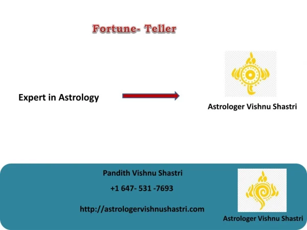 Astrologer Vishnu Shastri -Get Your Love Life Back Consultant in Canada