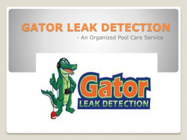 Gator Leak Detection- An Organized Pool Care Service