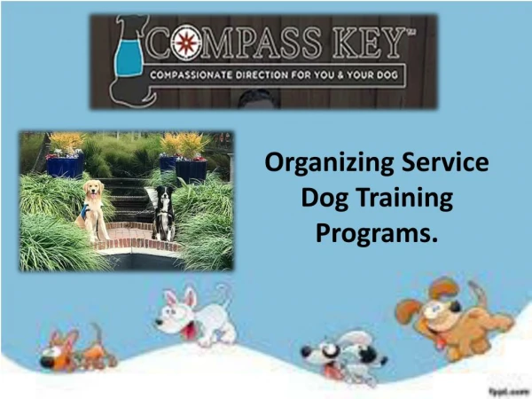 Service dog training programs