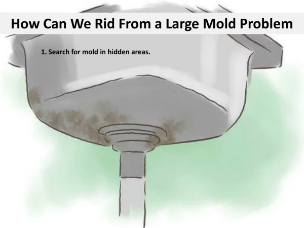 How Can We Rid From a Large Mold Problem