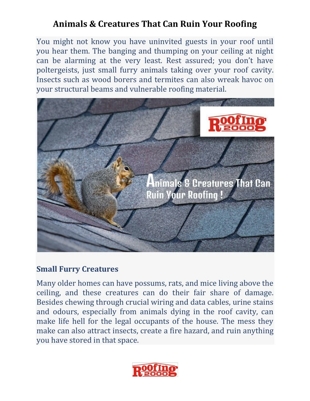 animals creatures that can ruin your roofing