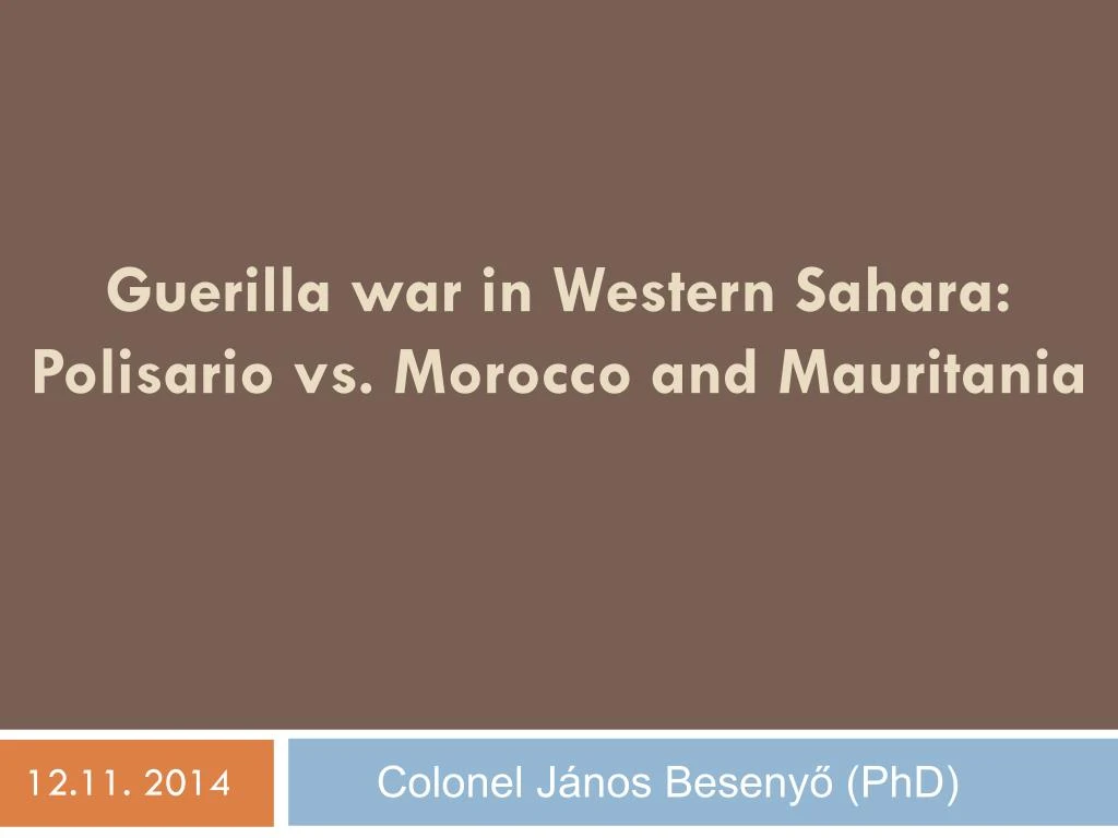 guerilla war in western sahara polisario