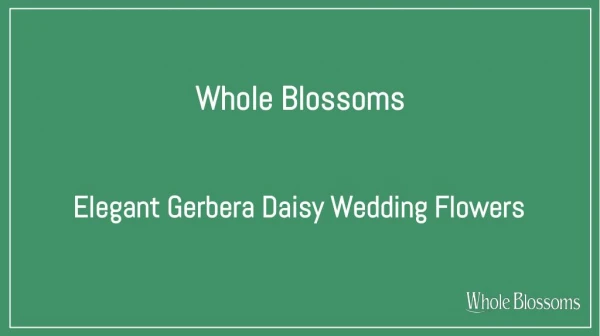 Get Beautiful Gerbera Daisy Colors for Wedding