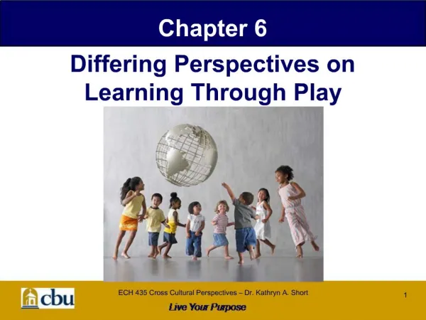 Differing Perspectives on Learning Through Play