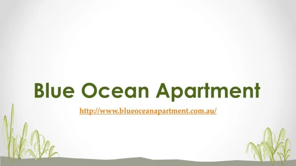 Cheap Gold Coast Holidays - Blue Ocean Apartment