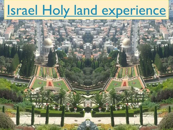 Israel Holy land Tours