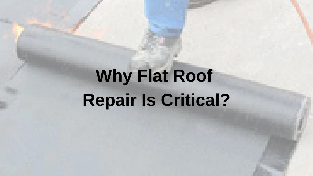 why flat roof repair is critical
