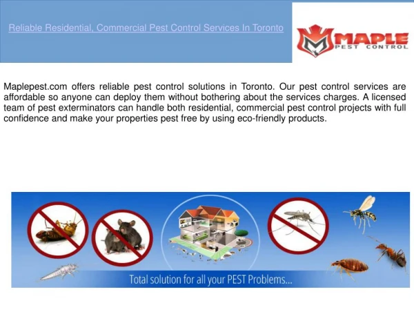 Pest Control In Toronto