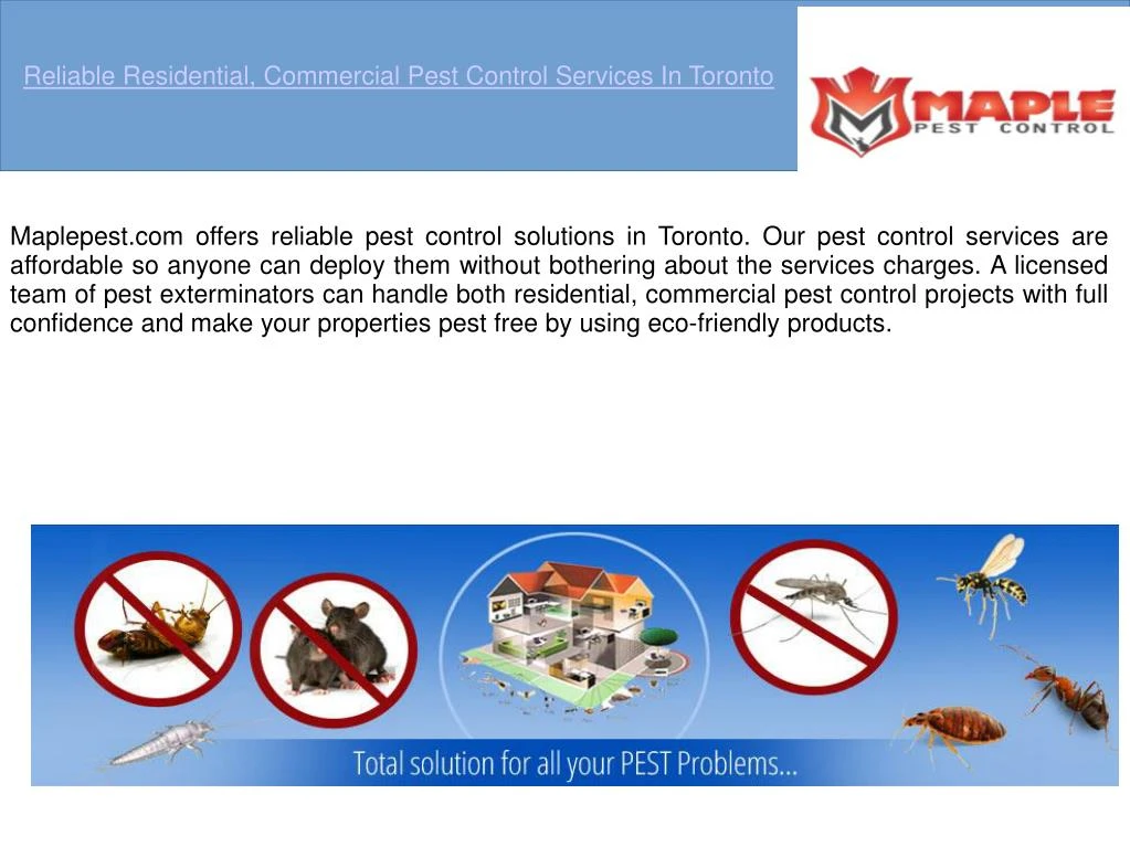 reliable residential commercial pest control