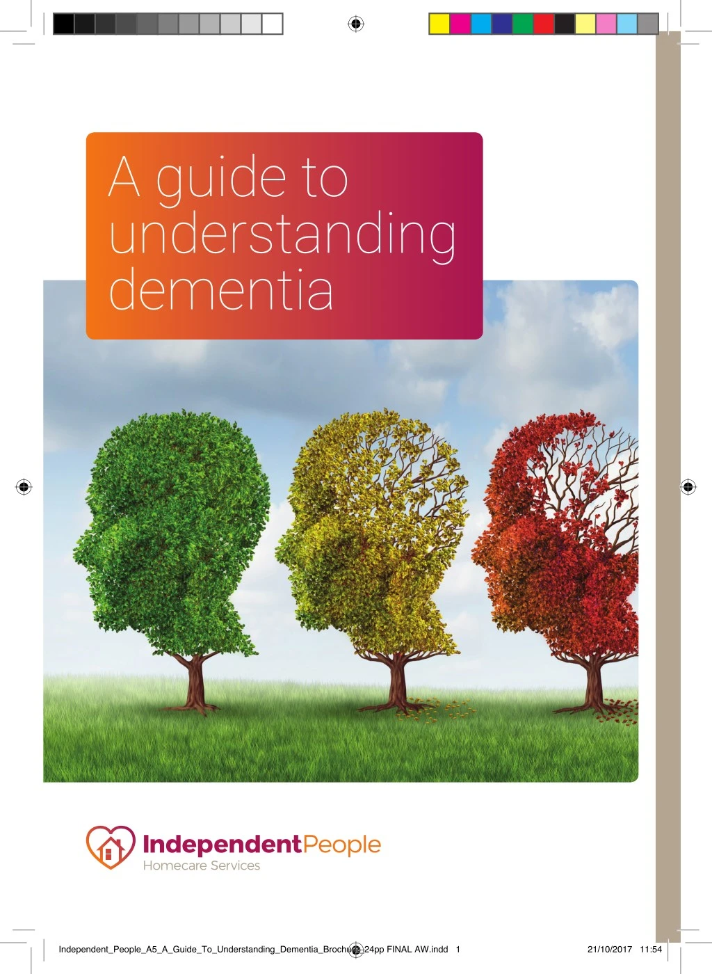a guide to understanding dementia