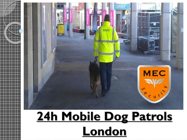24h Mobile Dog Patrols London
