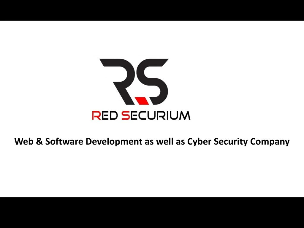 web software development as well as cyber security company