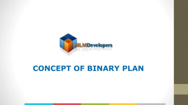The Concept of Binary Plan. How Does binary Plan Work?