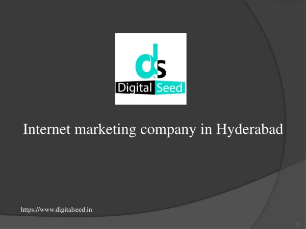 Internet marketing company in Hydrabad | best internet marketing agency in Hydrabad | Digitalseed