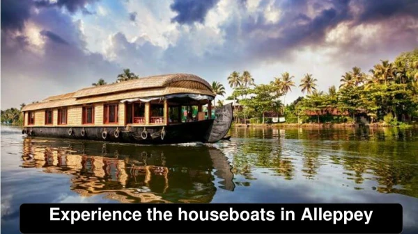 Experience The House Boats in Alleppey