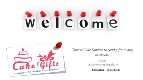 Choose Lillie flowers to send gifts to any occasion.