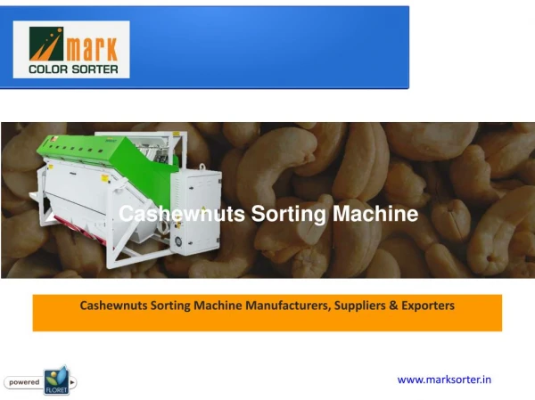 Cashewnut Color Sorter Machine Manufacturers