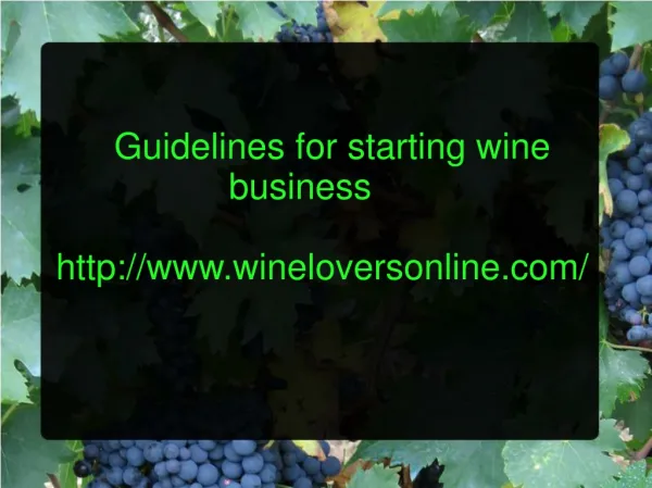 Guideliness for Starting Wine Business