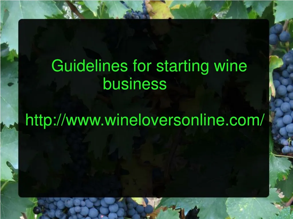 guidelines for starting wine business http www wineloversonline com