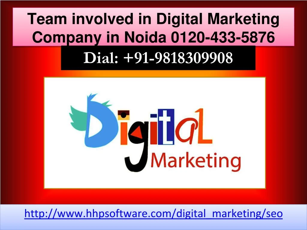 team involved in digital marketing company