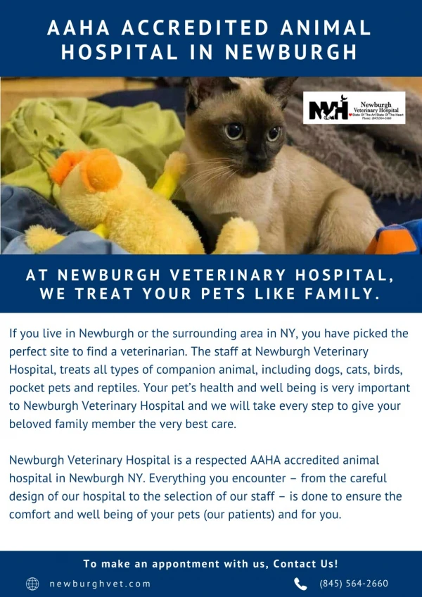 AAHA Accredited Animal Hospital In Newburgh