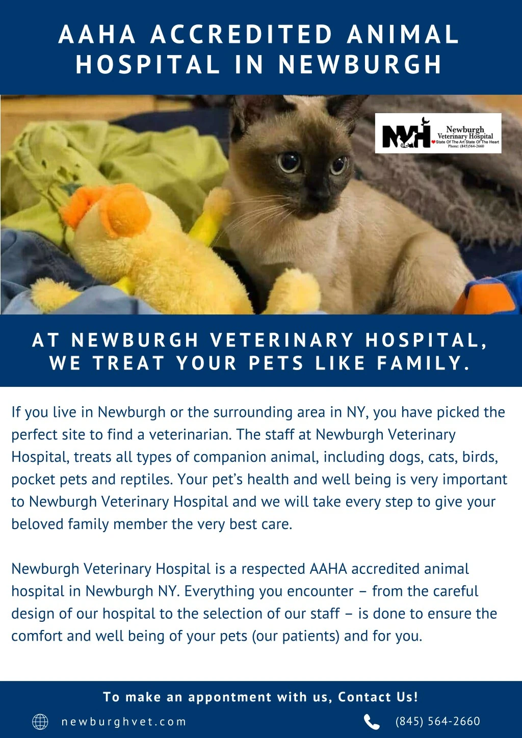 aaha accredited animal hospital in newburgh