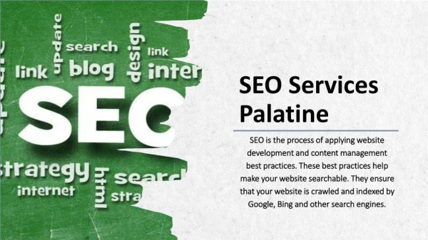 SEO Services Palatine