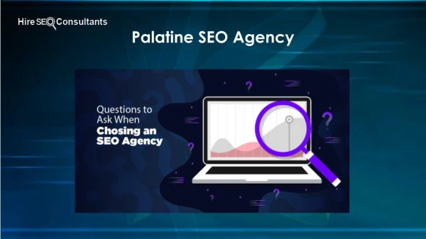 Palatine SEO Agency