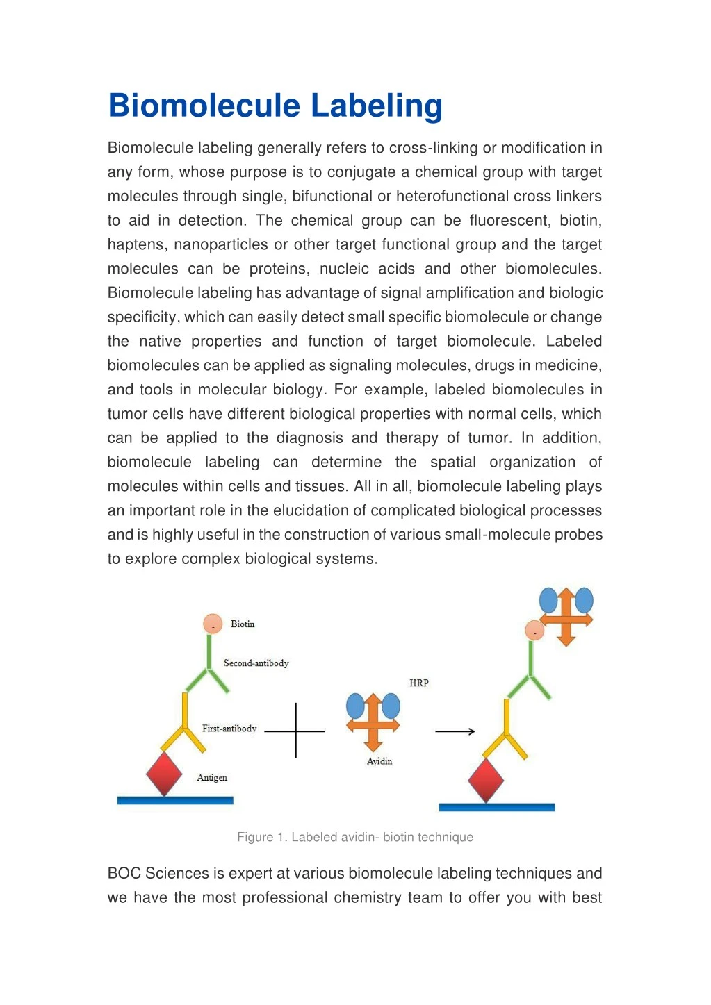 biomolecule labeling