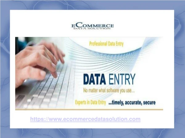 Ecommerce Data Solution - Data Entry Services Provider Company India