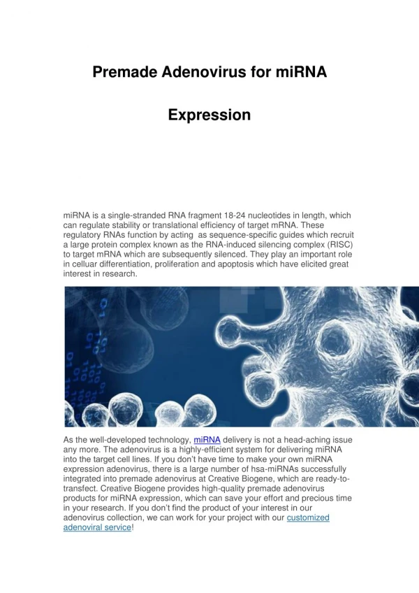 Premade Adenovirus for miRNA Expression