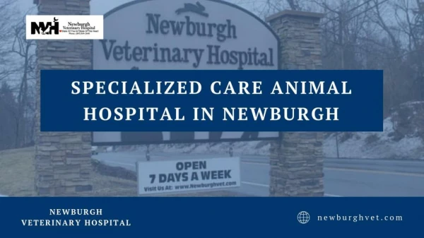 Specialized Care Animal Hospital in Newburgh
