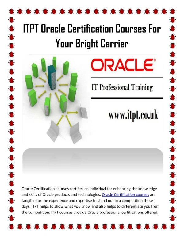 ITPT Oracle Certification Courses for Your Bright Carrier