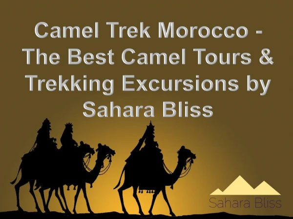 Camel Trek Morocco - The Best Camel Tours & Trekking Excursions by Sahara Bliss