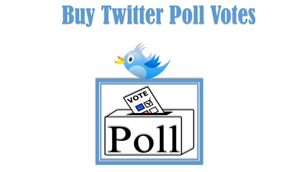 buy twitter poll votes