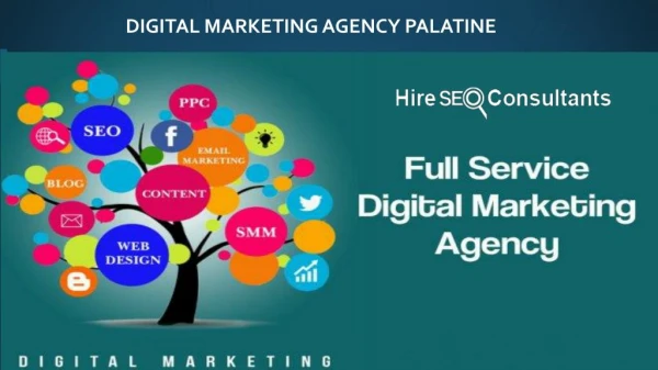 Digital marketing agency Palatine