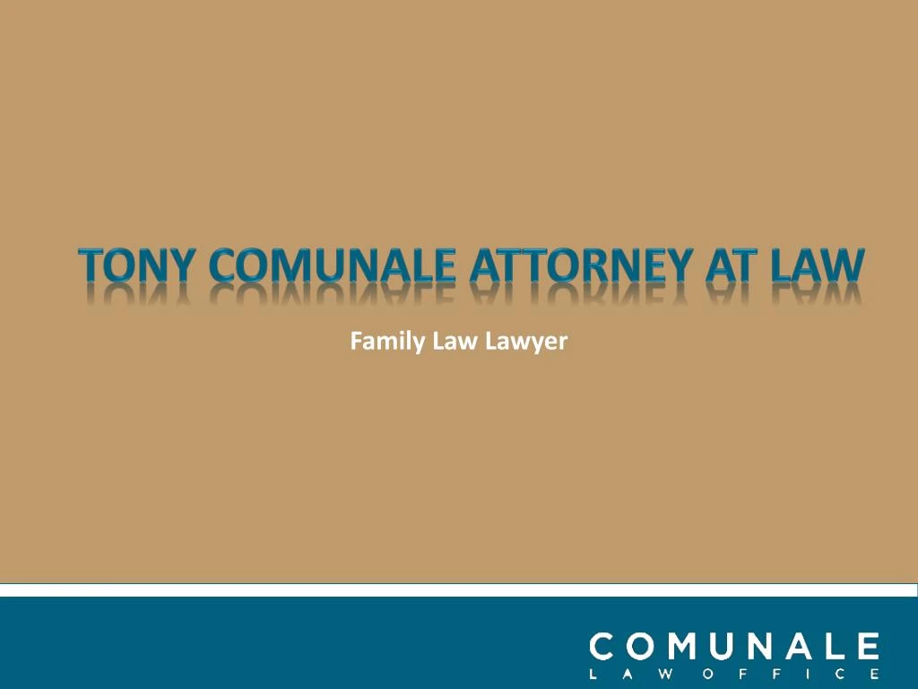 family law lawyer