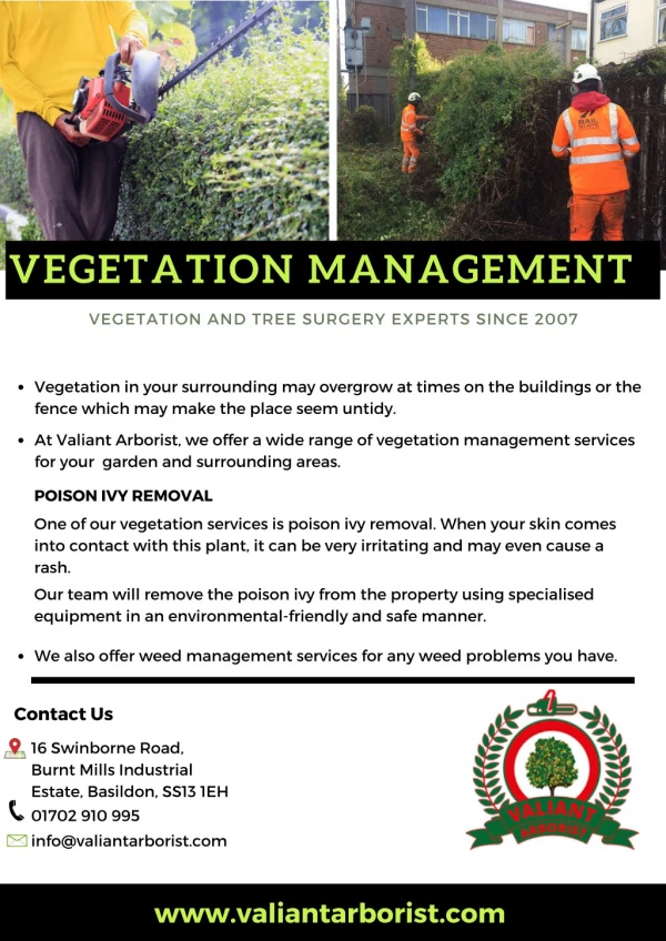 Vegetation Management - Valiant Arborist Ltd
