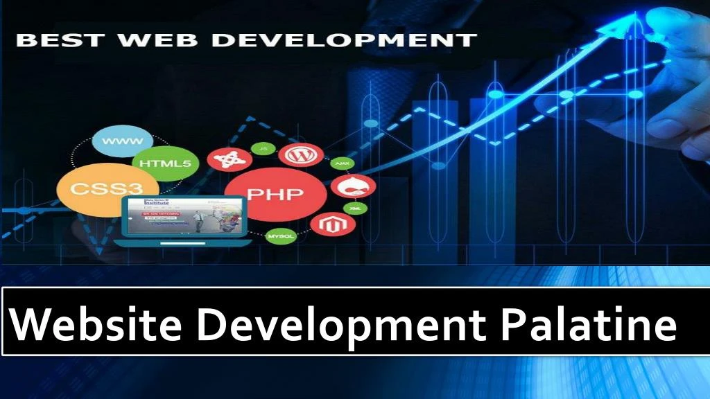 website development palatine