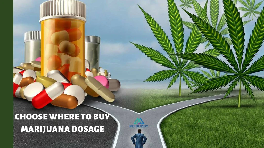 choose where to buy marijuana dosage