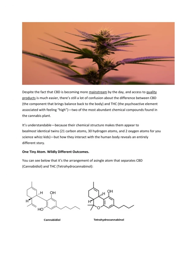CBD vs THC Explained by Sagely Naturals