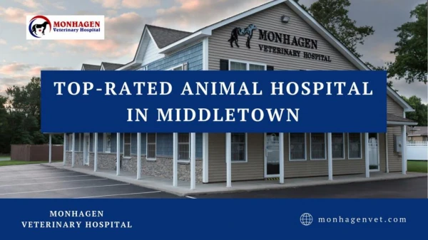 Top-Rated Animal Hospital In Middletown