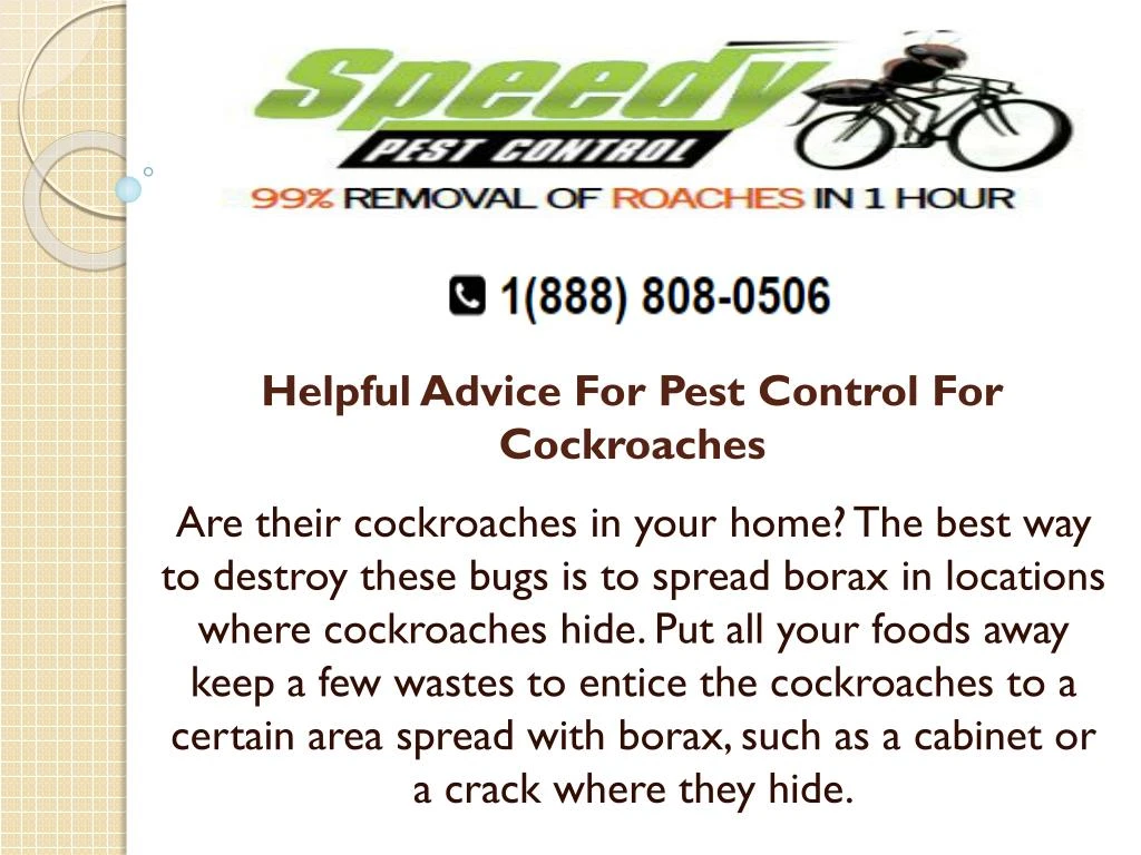 helpful advice for pest control for cockroaches